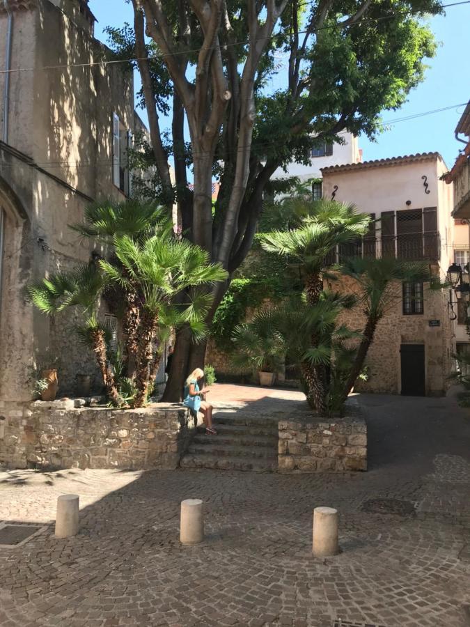 Antibes Tres Belle Situation ! Leilighet Eksteriør bilde